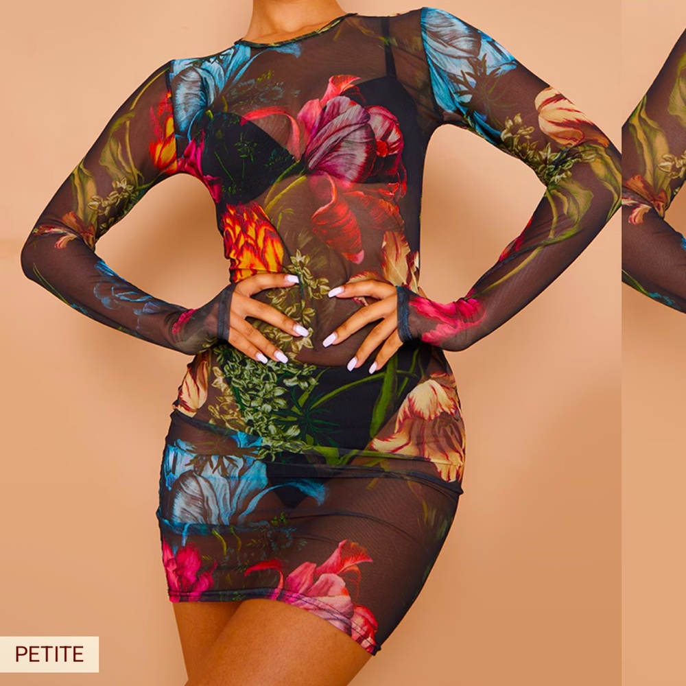 Bodycon Sheer Floral Mini Dress